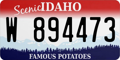 ID license plate W894473