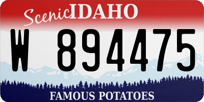 ID license plate W894475