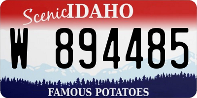 ID license plate W894485