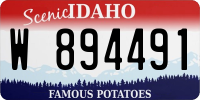ID license plate W894491