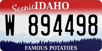 ID license plate W894498