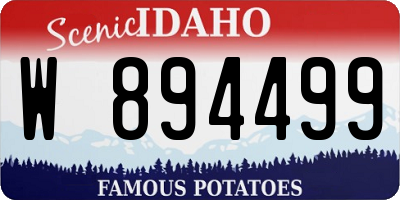 ID license plate W894499