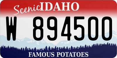ID license plate W894500
