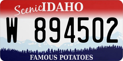 ID license plate W894502
