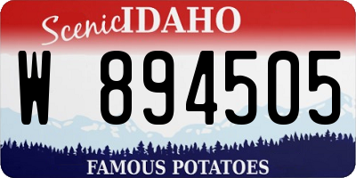 ID license plate W894505
