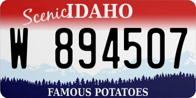 ID license plate W894507