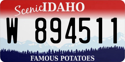 ID license plate W894511