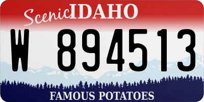 ID license plate W894513