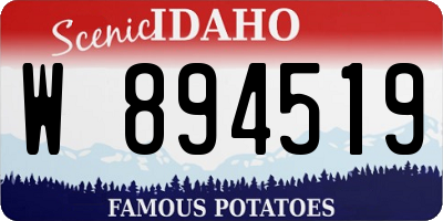 ID license plate W894519