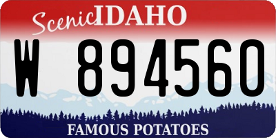 ID license plate W894560