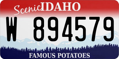 ID license plate W894579