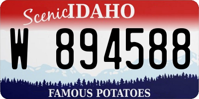 ID license plate W894588
