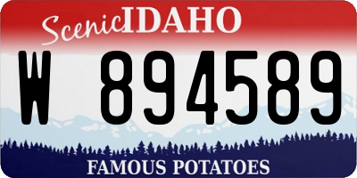 ID license plate W894589