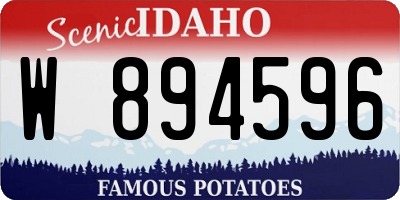 ID license plate W894596