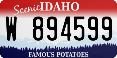 ID license plate W894599
