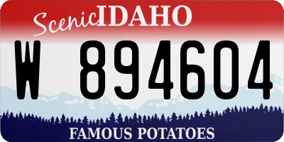 ID license plate W894604