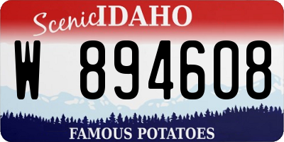 ID license plate W894608