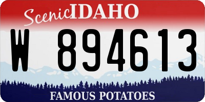 ID license plate W894613