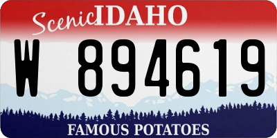 ID license plate W894619