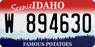 ID license plate W894630