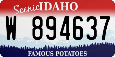 ID license plate W894637