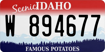 ID license plate W894677