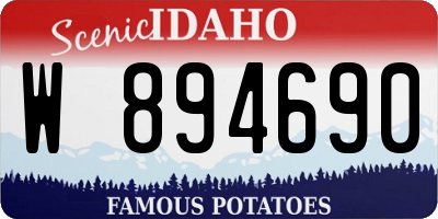 ID license plate W894690