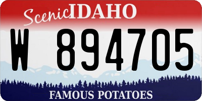 ID license plate W894705