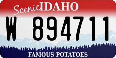 ID license plate W894711