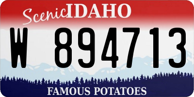 ID license plate W894713