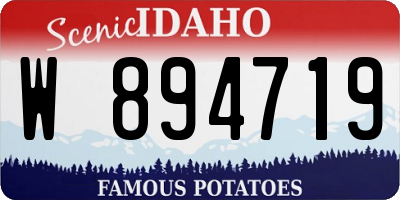 ID license plate W894719