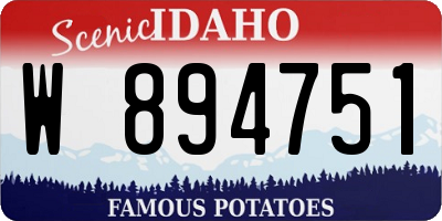 ID license plate W894751