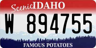 ID license plate W894755