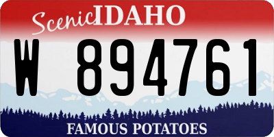 ID license plate W894761
