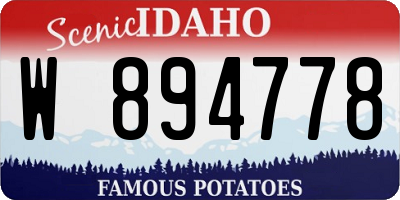 ID license plate W894778