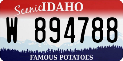 ID license plate W894788