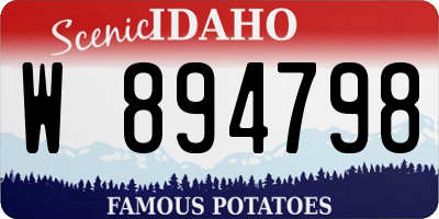 ID license plate W894798