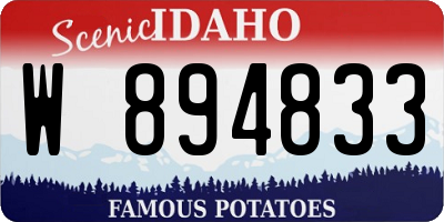 ID license plate W894833