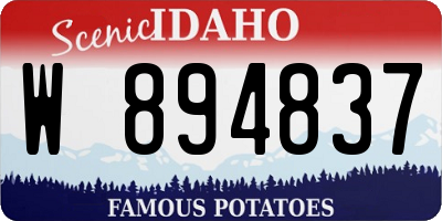 ID license plate W894837