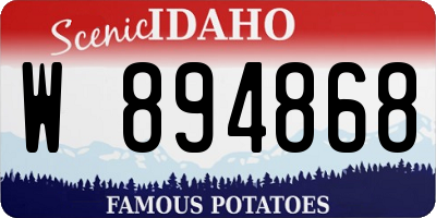 ID license plate W894868