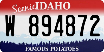 ID license plate W894872