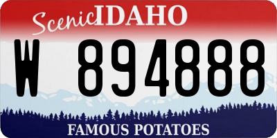 ID license plate W894888