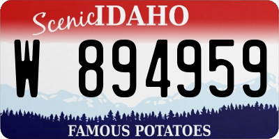 ID license plate W894959