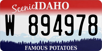 ID license plate W894978