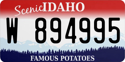 ID license plate W894995
