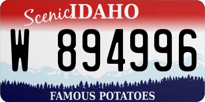 ID license plate W894996