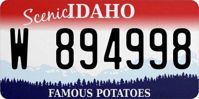 ID license plate W894998