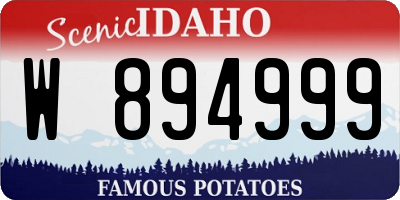 ID license plate W894999