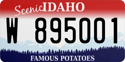 ID license plate W895001