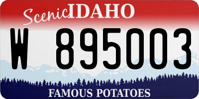 ID license plate W895003